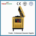 10kVA Generador de energía eléctrica diesel a prueba de sonido Generación